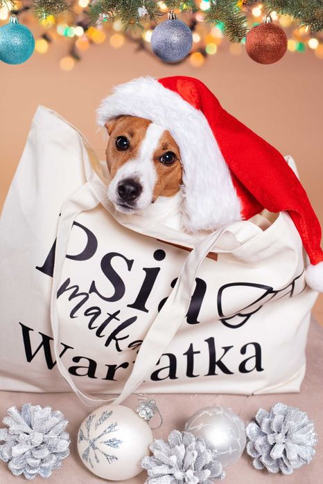 Zestaw 3* Torba Psia matka wariatka + kalendarz  PSIEBAMBETLE