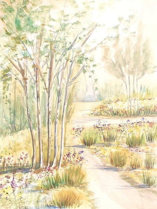 Projektowanie ogrodów, rabat, modernizacja ogrodu