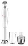 Moulinex blender 2w1