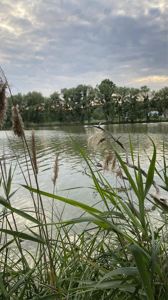 Будинок біля води, Обухів р-н с. Красне Перше/Козіївка