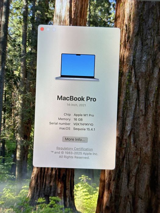 Apple Macbook Pro 14 M1 Pro 16GB Ram 512 GB SSD A2442