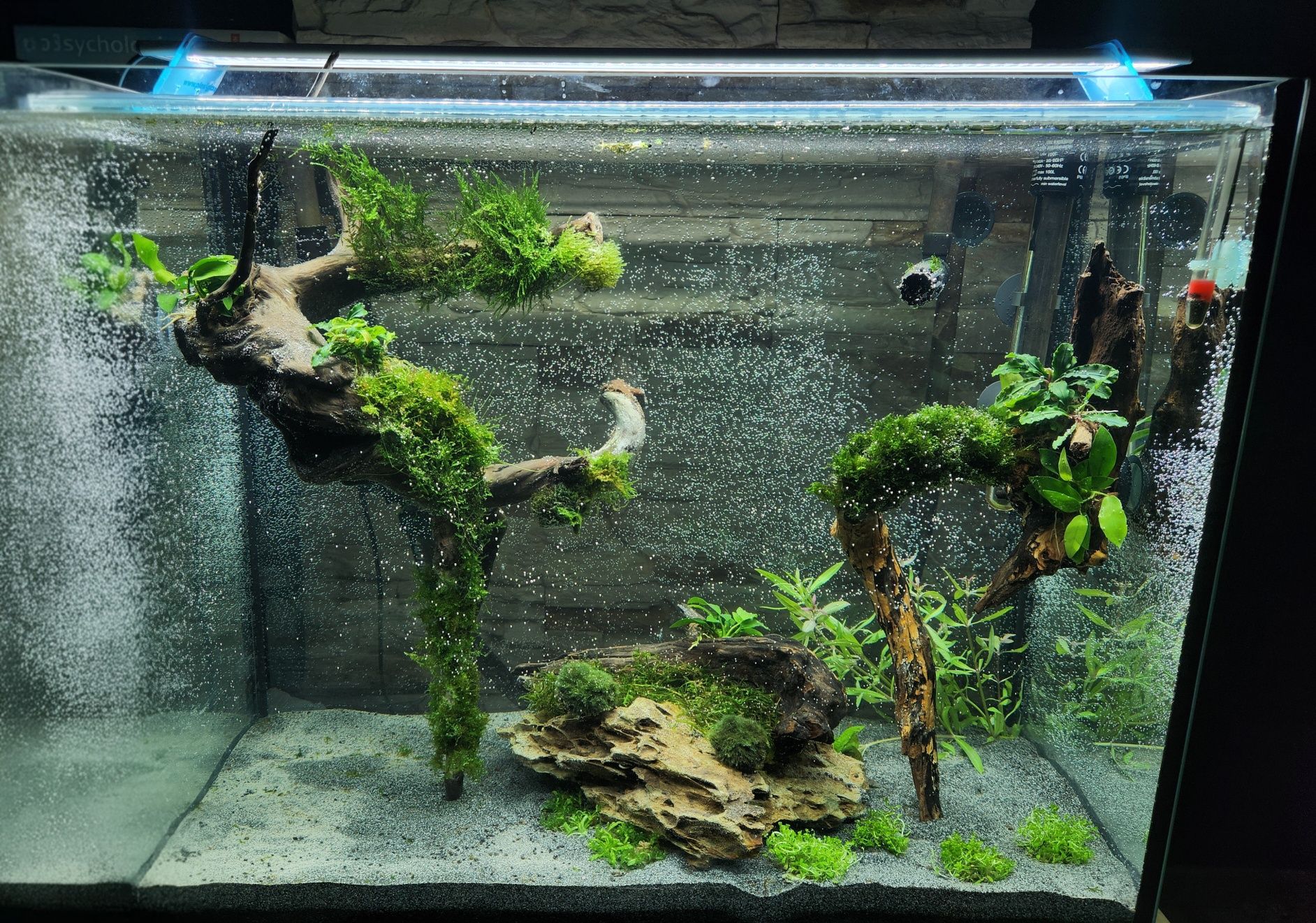 Akwarium 90L Nietypowy Rozmiar