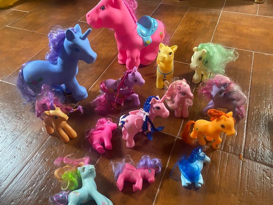 Conjunto completo de 14 póneis