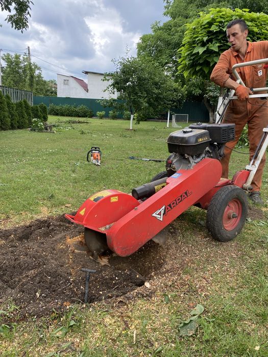 Зрізання дерев, Кронування, Спил частинами, Обрізка гілок, Утилізація