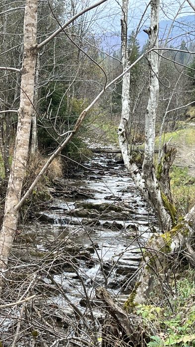 Котедж у горах для відпочинку — тиша, гори, релакс
