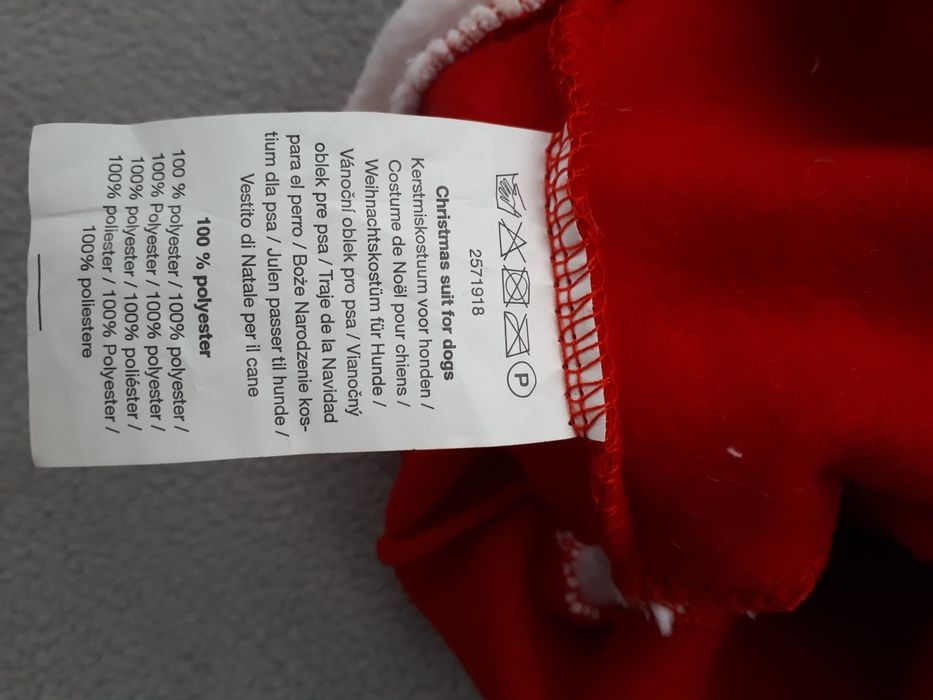 Dla psa ubranko świąteczne.