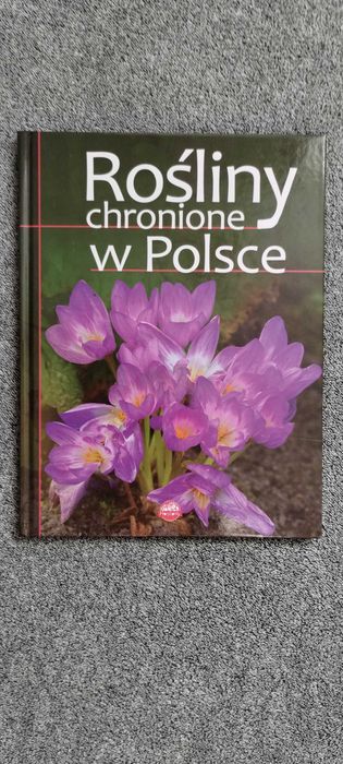 Rośliny chronione w Polsce i Ptaki