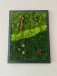 Obraz z mchu 42x32