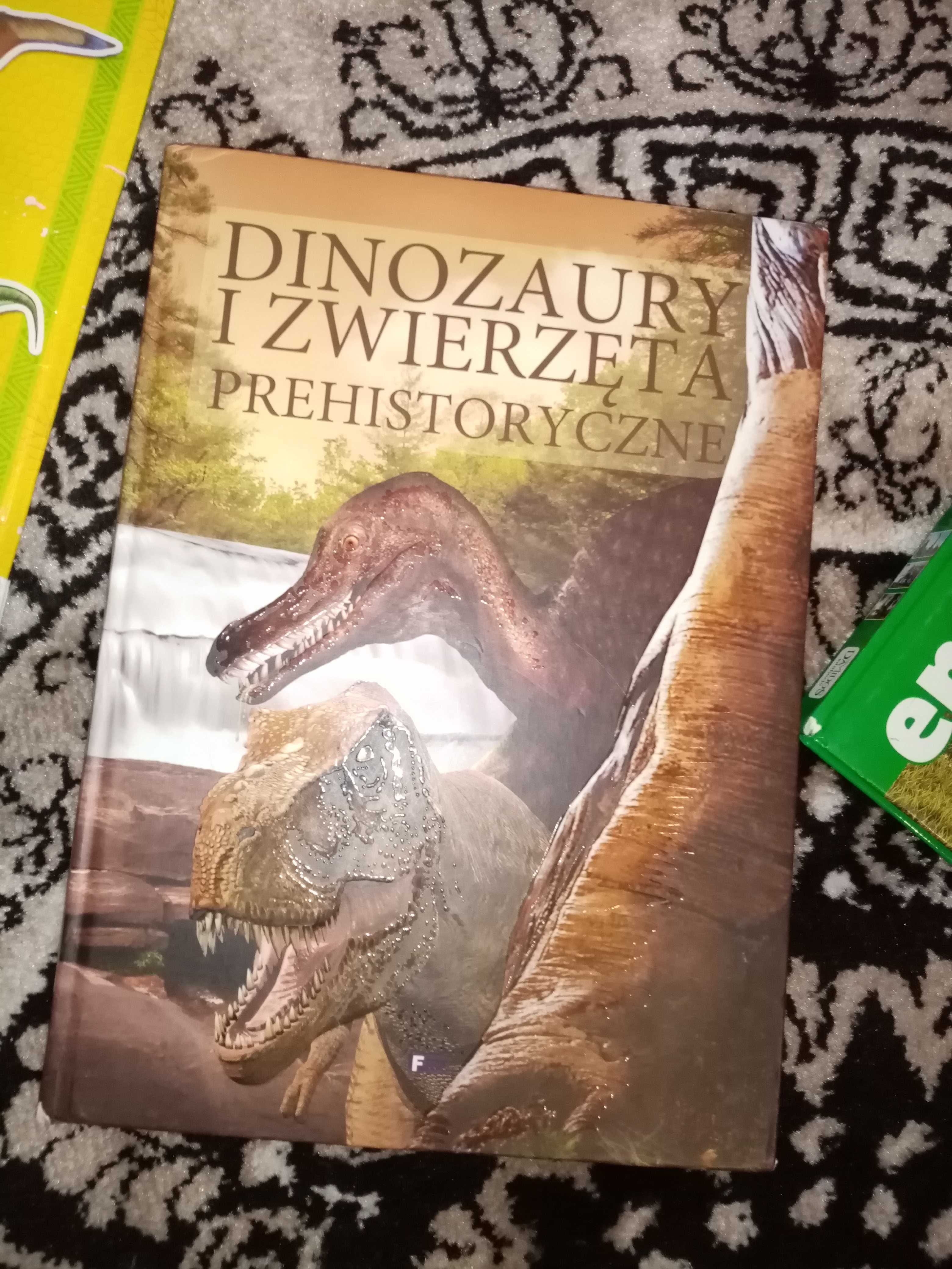 Zestaw książek o dinozaurach