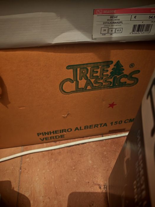 Árvore de Natal sem decoração