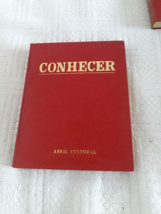 Dicionário enciclopédia