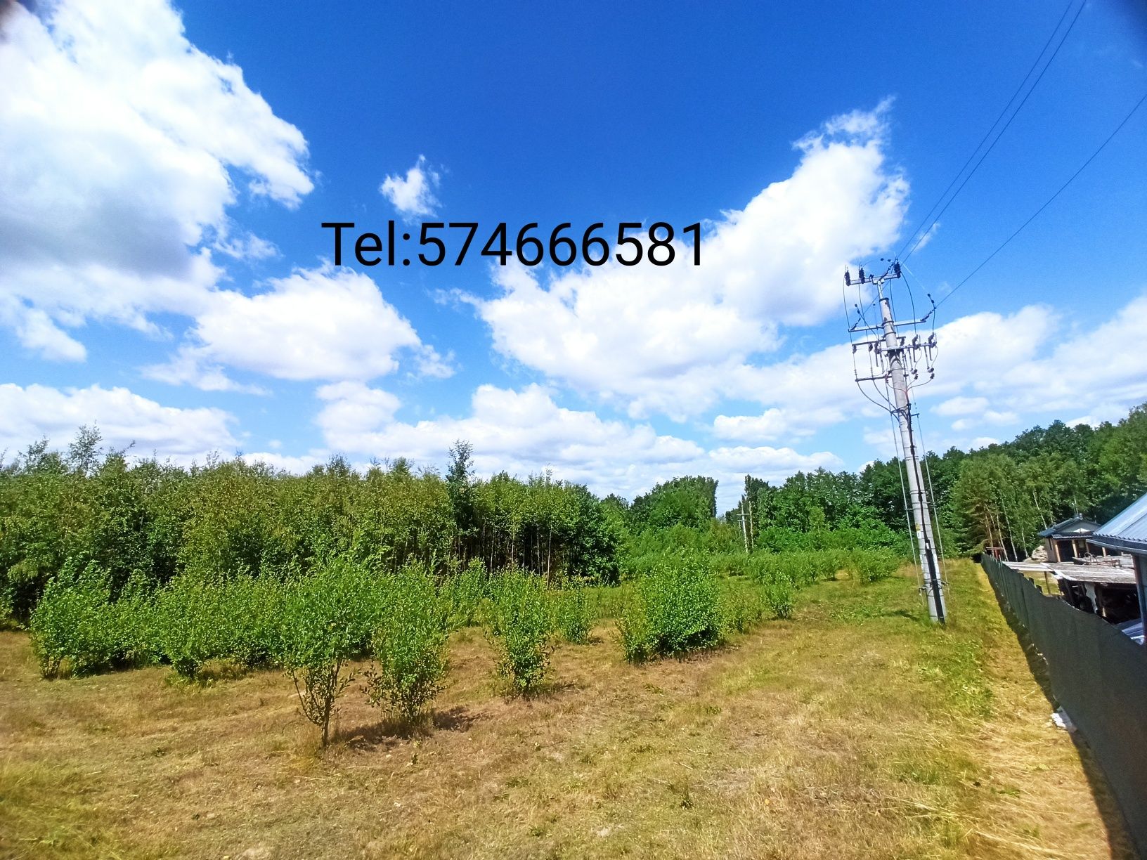 Sprzedam działkę budowlaną. Mazowieckie-Gielniów-Snarki