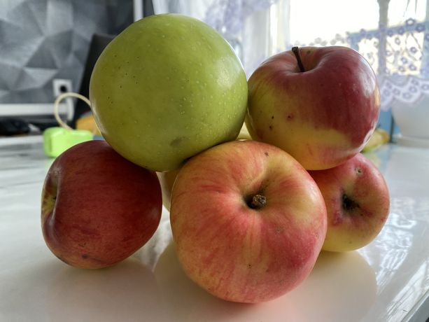 Домашні яблука, без хімії, дуже смачні