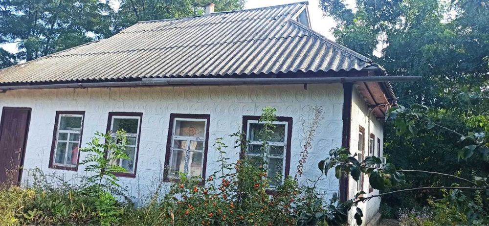 Продаж будинку в экологічно чистому селі Медведівка