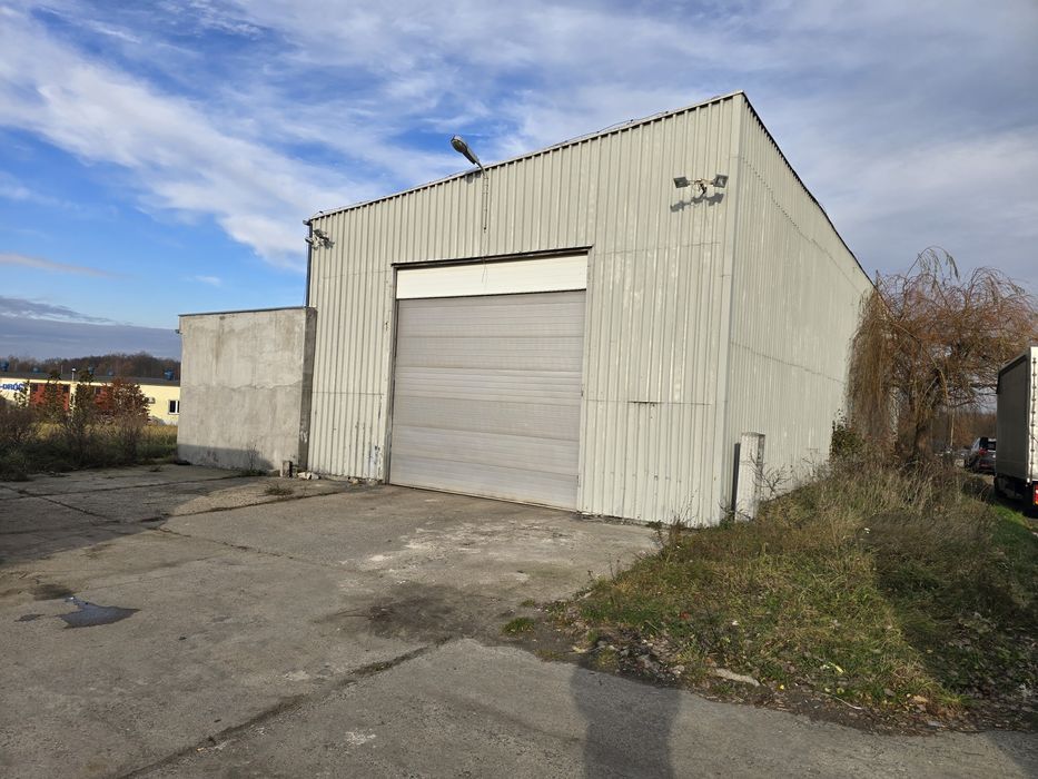 Hala i duży plac na wynajem