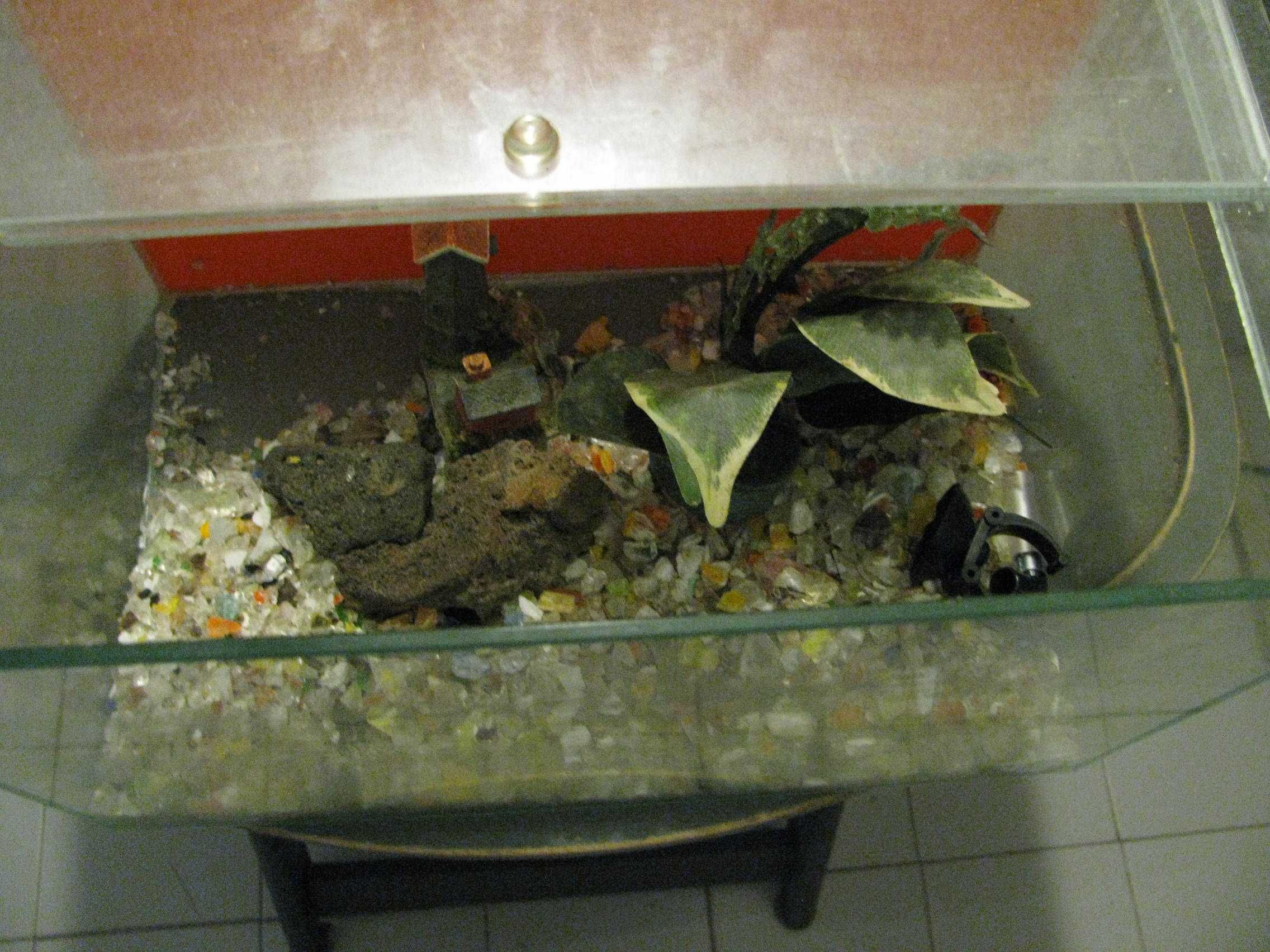 Aquário de pequenas dimensões 20x30x20 + acessórios
