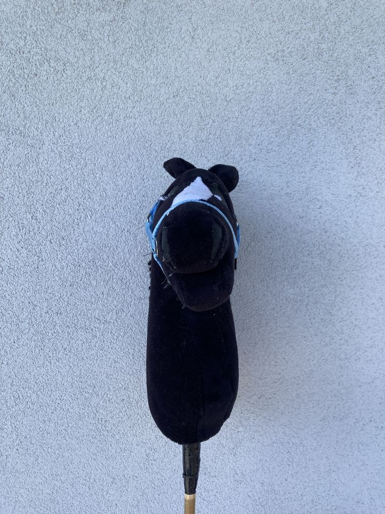 Hobby horse kary
