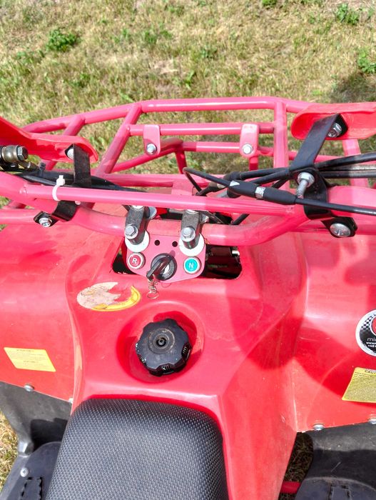 Quad  125 T-rex huumer