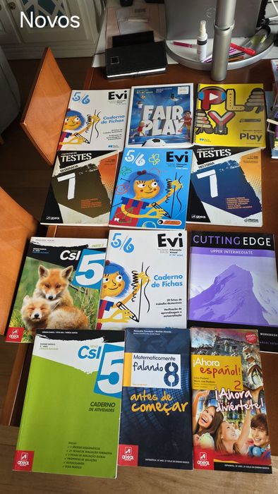 Manuais e livros de atividades do 7o, 6o, 5o e 4o ano