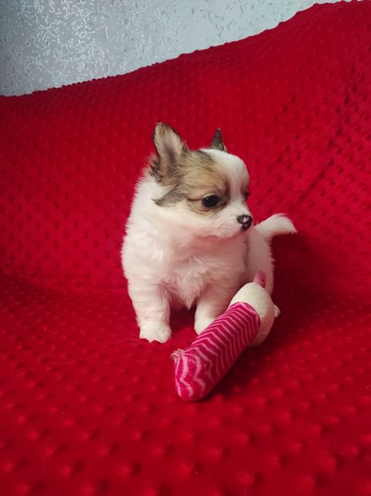 НУ очень красивый малыш!!!