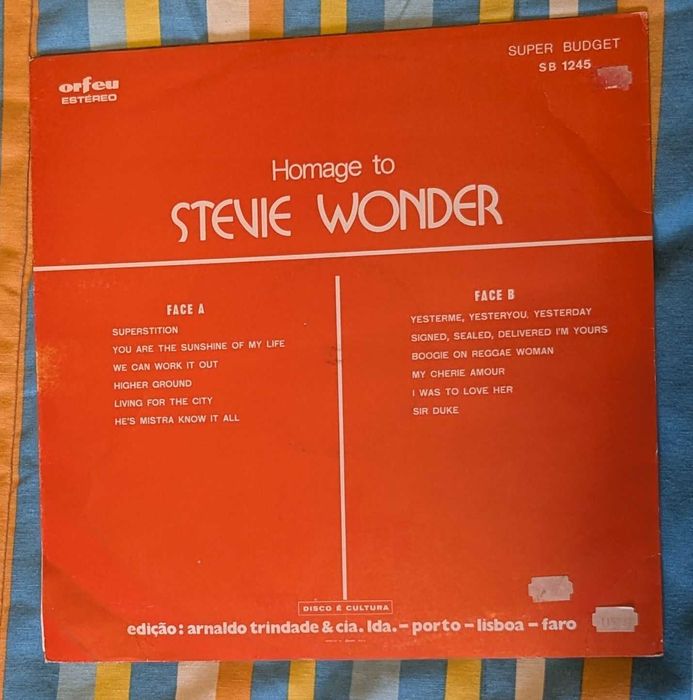 Vinyl Homage to Stevie Wonder