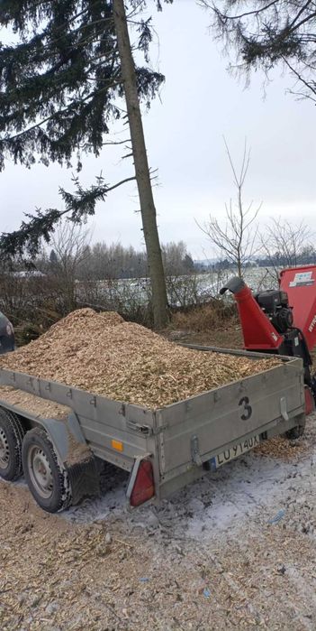 Wycinka drzew, prace alpinistyczne, zrębkowanie gałęzi