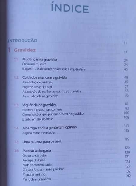 Estamos Grávidos! E Agora? - Carmen Ferreira