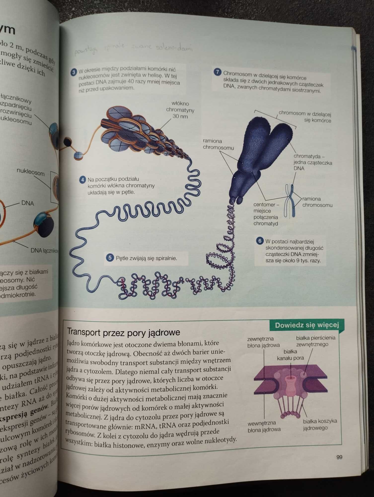 Podręcznik do biologii