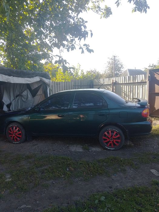 KIAsephia Зелений
