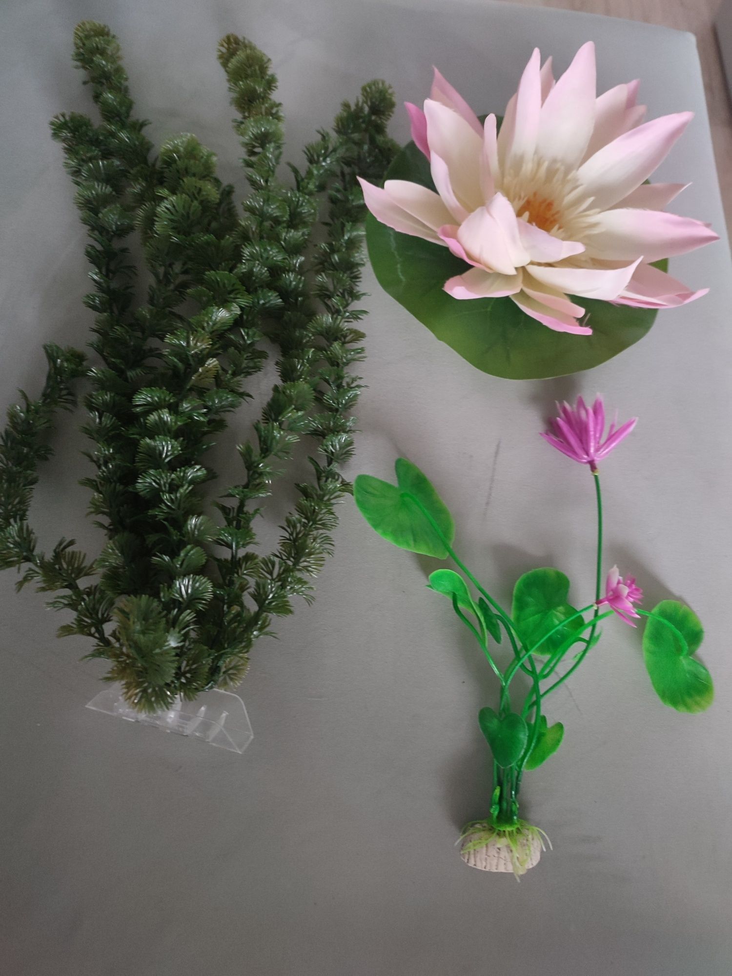 Ozdoby duże rośliny akwarium godula