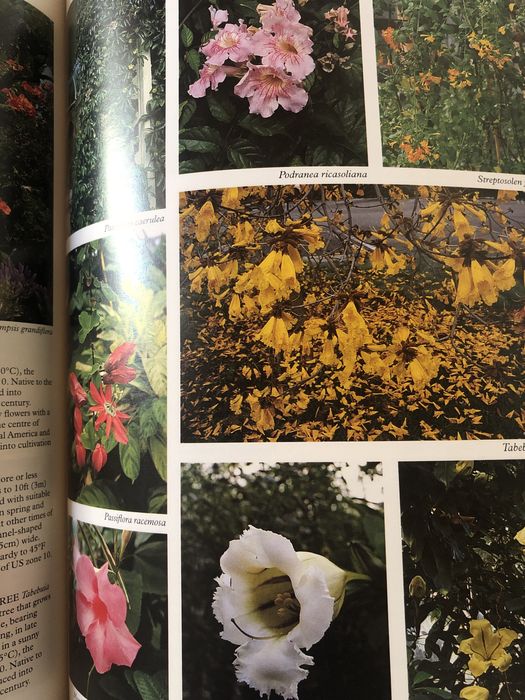 Livro de consulta “Perfect Plants”, Random House