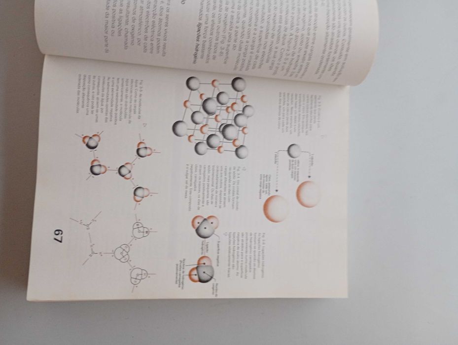 Introdução à Biologia