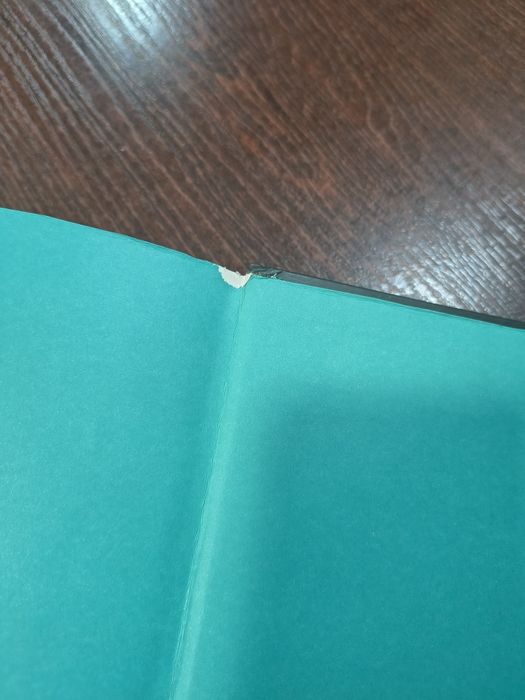 Книга Княгиня пітьми автор Мар'яна Копачинська