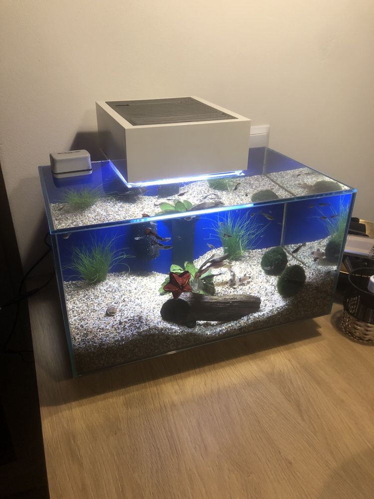 Fluval Edge 23 ltry