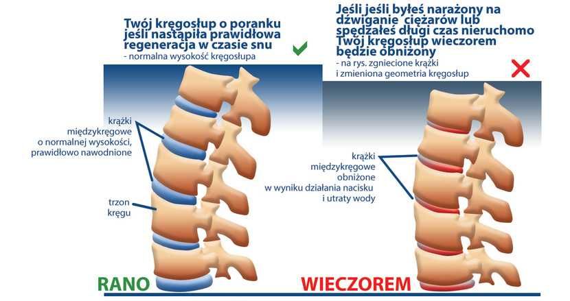Materac zdrowotny MagniStretch 9 90x200x23 po ekspozycji Idealny Stan