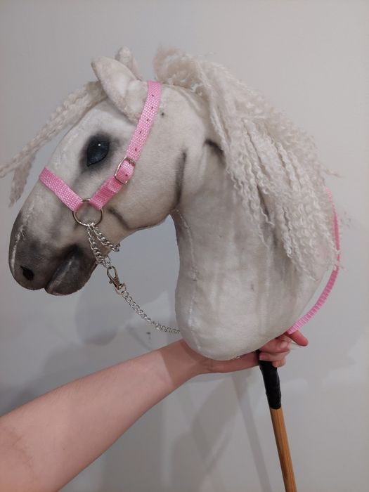 Prezenterka hobby horse