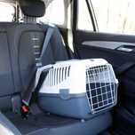 Transporter Gulliver 3