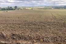 Oásis Rural: Terreno Rústico de 14.000 m² na Encantadora Vila de Atoug