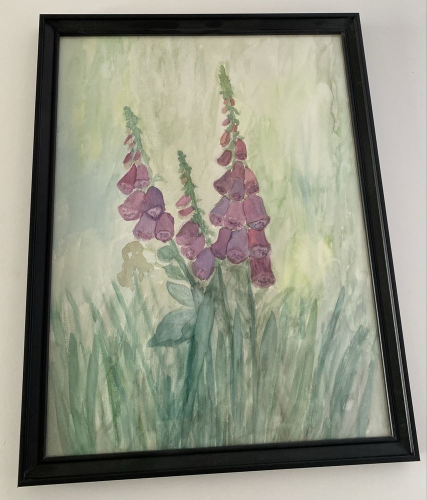 Naparstnice akwarela 30 x 40