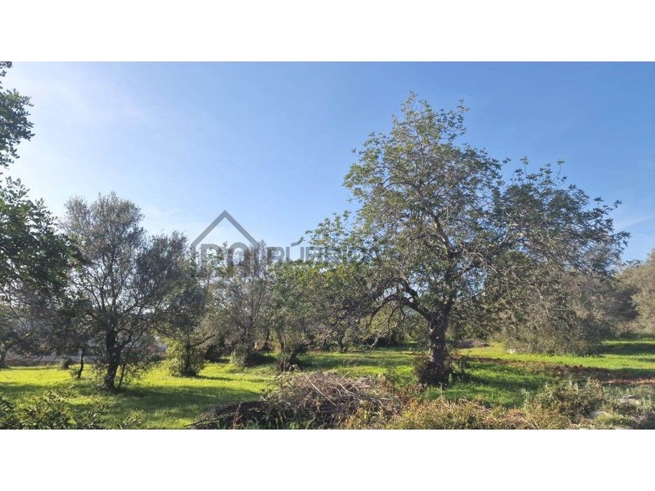 Terreno urbano para construção - São Brás de Alportel