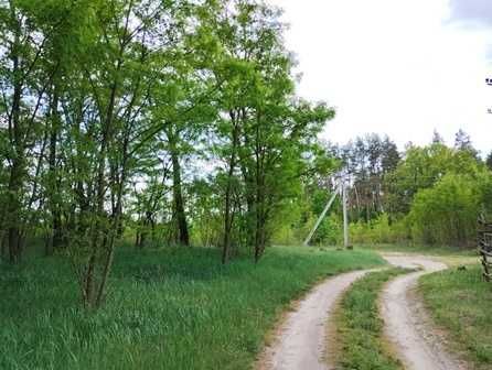 Ділянка під забудову в Лісі