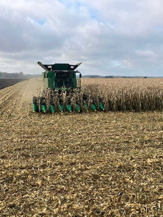 Koszenie kukurydzy
