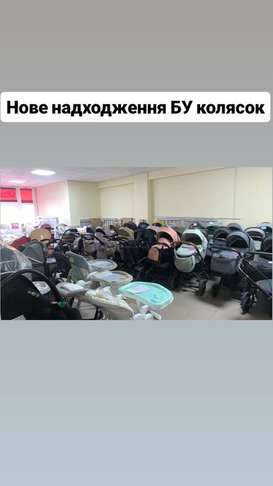 Дитяча коляска Carrello Anex Adamex Bair