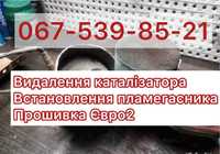 Видалення (Удаление) каталізатора сажевий фільтр Прошивка ЄВРО2 Гар-я