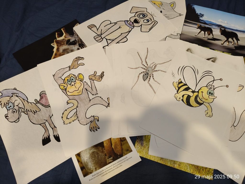 Karty obrazkowe flashcards zwierzęta Animals SP English kolekcja zesta