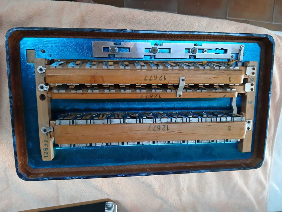 Acordeon Cavagnolo Vedette 10