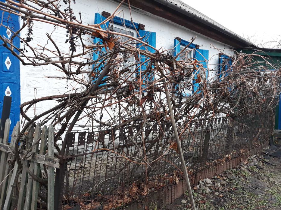 Продам 1/2 будинку