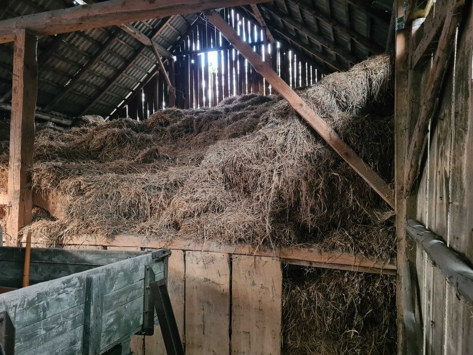Oddam Słomę i siano za darmo na PELET. Słoma w kostkach.