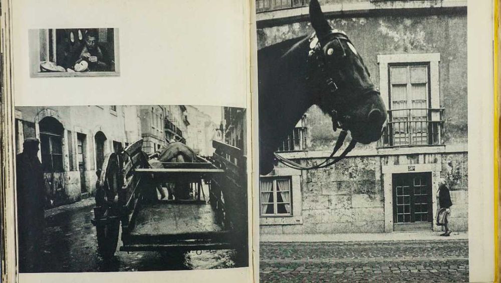 Lisboa Cidade Triste e Alegre (Obra muito rara)