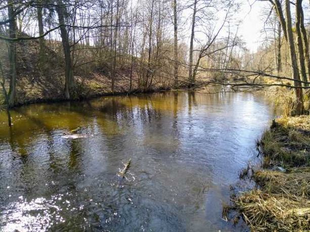 Działka z linią brzegową rzeki Wel